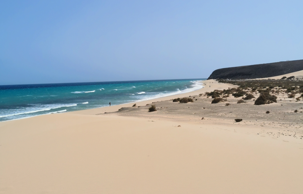 fuerteventura travel guide