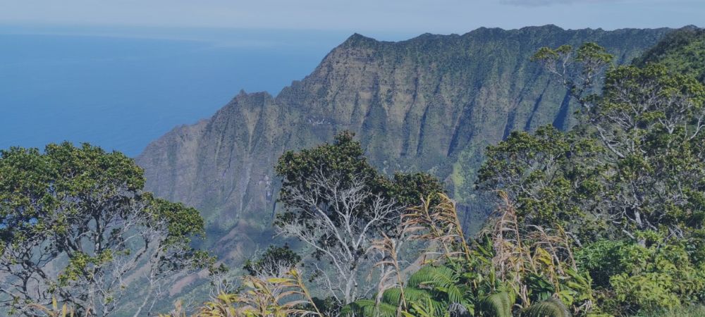 kauai hawaii, na pali coast, helicopter flight na pali, boat tour na pali, waimea canyon