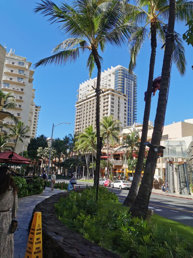 Things To Do In Waikiki