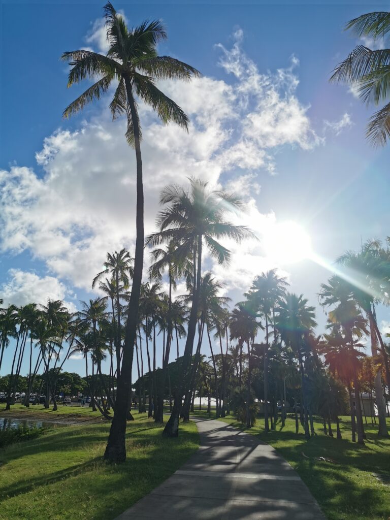 Things To Do In Honolulu For Free
