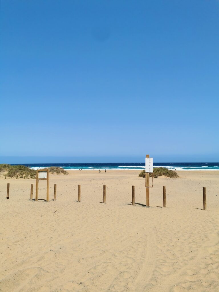 fuerteventura reisetipps